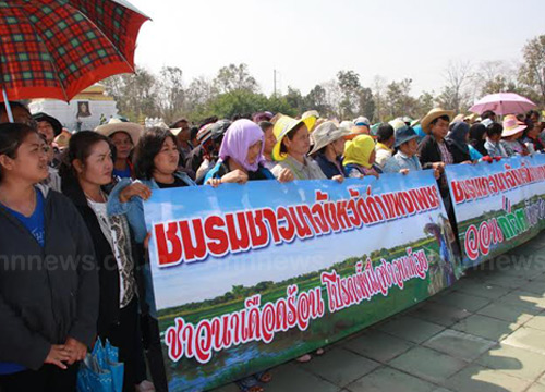 ชาวนาหลายจังหวัดปิดถนนประท้วงรัฐบาล ไม่จ่ายเงินจำนำข้าว ชาวนาหลายจังหวัดปิดถนนประท้วงรัฐบาล ไม่จ่ายเงินจำนำข้าว