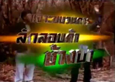 เจาะแผนขบวนการค้าช้างป่า สุดเหี้ยมตัดงาช้างทั้งเป็นถ่ายคลิป