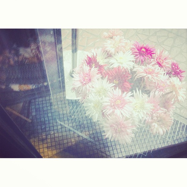 ตั้ม พฤษ์พล มุกดาสนิท กราฟิกดีไซเนอร์ชื่อดัง เสียชีวิตแล้ว หลังจมน้ำที่ภูเก็ต