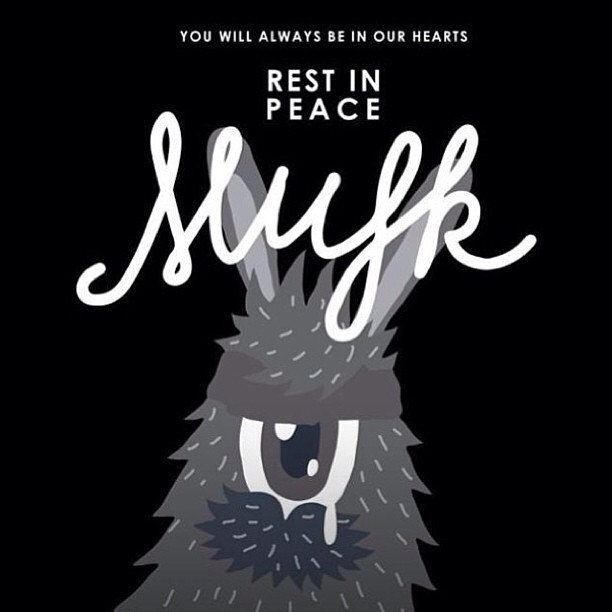 ตั้ม พฤษ์พล มุกดาสนิท กราฟิกดีไซเนอร์ชื่อดัง เสียชีวิตแล้ว หลังจมน้ำที่ภูเก็ต