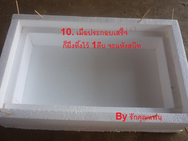 ง่ายจริงนะ! ปลูกผักไฮโดรโปนิกส์ปลอดสารพิษด้วยตัวเอง