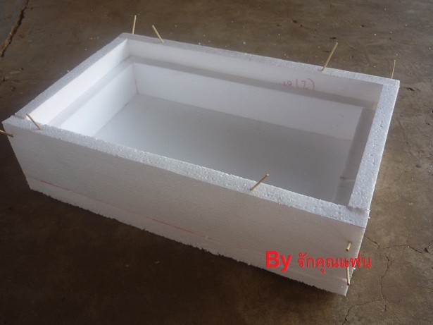 ง่ายจริงนะ! ปลูกผักไฮโดรโปนิกส์ปลอดสารพิษด้วยตัวเอง