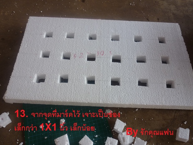 ง่ายจริงนะ! ปลูกผักไฮโดรโปนิกส์ปลอดสารพิษด้วยตัวเอง