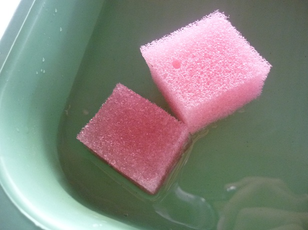 ง่ายจริงนะ! ปลูกผักไฮโดรโปนิกส์ปลอดสารพิษด้วยตัวเอง