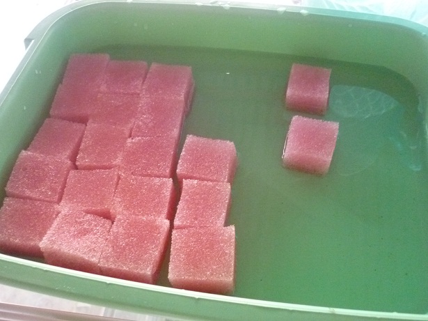 ง่ายจริงนะ! ปลูกผักไฮโดรโปนิกส์ปลอดสารพิษด้วยตัวเอง