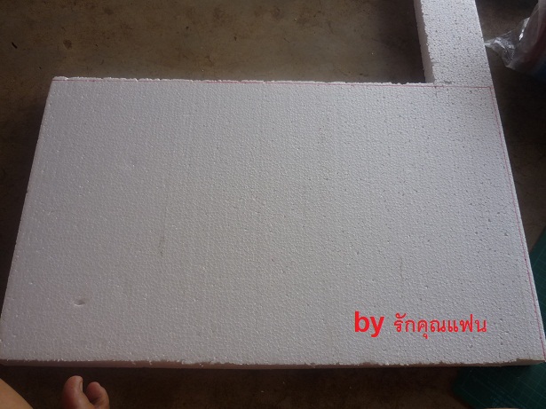 ง่ายจริงนะ! ปลูกผักไฮโดรโปนิกส์ปลอดสารพิษด้วยตัวเอง