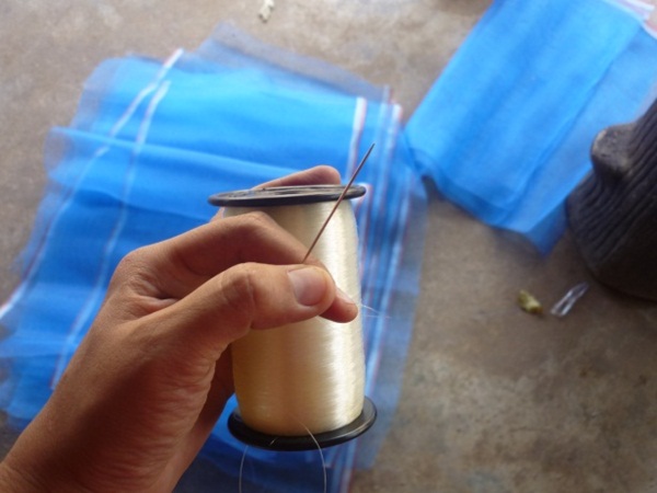 ง่ายจริงนะ! ปลูกผักไฮโดรโปนิกส์ปลอดสารพิษด้วยตัวเอง