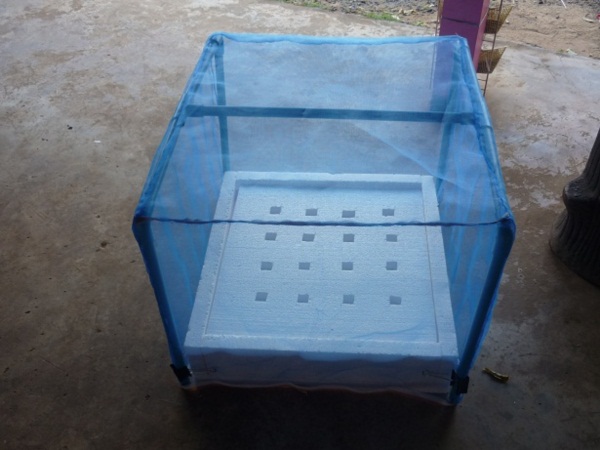 ง่ายจริงนะ! ปลูกผักไฮโดรโปนิกส์ปลอดสารพิษด้วยตัวเอง