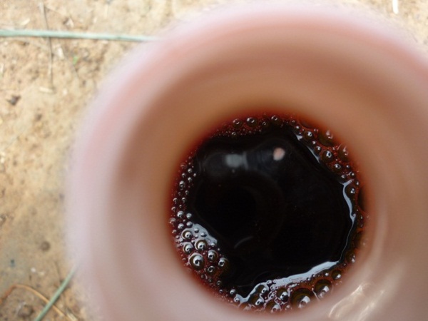 ง่ายจริงนะ! ปลูกผักไฮโดรโปนิกส์ปลอดสารพิษด้วยตัวเอง