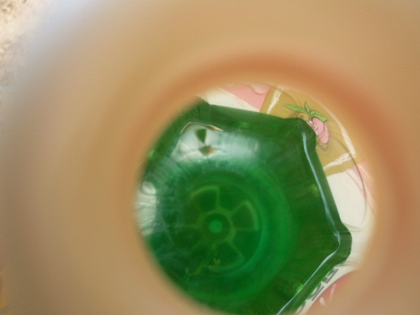 ง่ายจริงนะ! ปลูกผักไฮโดรโปนิกส์ปลอดสารพิษด้วยตัวเอง