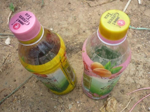 ง่ายจริงนะ! ปลูกผักไฮโดรโปนิกส์ปลอดสารพิษด้วยตัวเอง