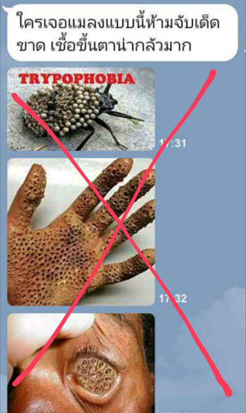 อ.เจษฎา แจงชัดภาพมือเป็นรูเพราะโดนแมลงกัด เป็นภาพตัด อ.เจษฎา แจงชัดภาพมือเป็นรูเพราะโดนแมลงกัด เป็นภาพตัด