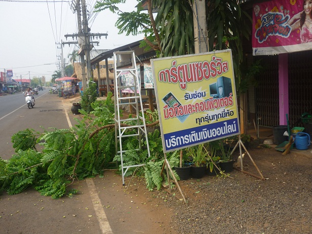 ง่ายจริงนะ! ปลูกผักไฮโดรโปนิกส์ปลอดสารพิษด้วยตัวเอง