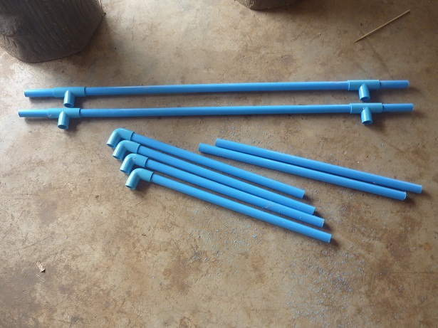 ง่ายจริงนะ! ปลูกผักไฮโดรโปนิกส์ปลอดสารพิษด้วยตัวเอง