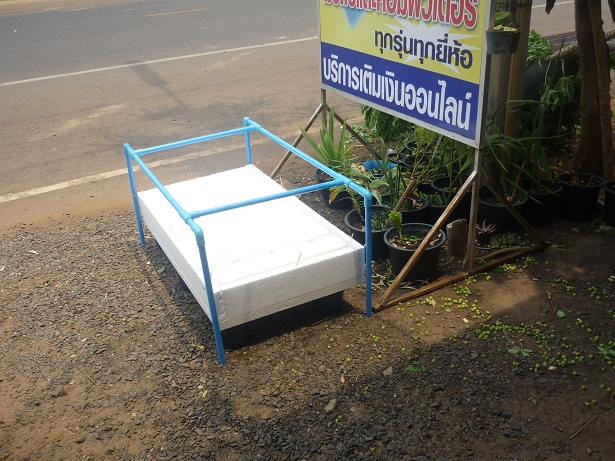 ง่ายจริงนะ! ปลูกผักไฮโดรโปนิกส์ปลอดสารพิษด้วยตัวเอง