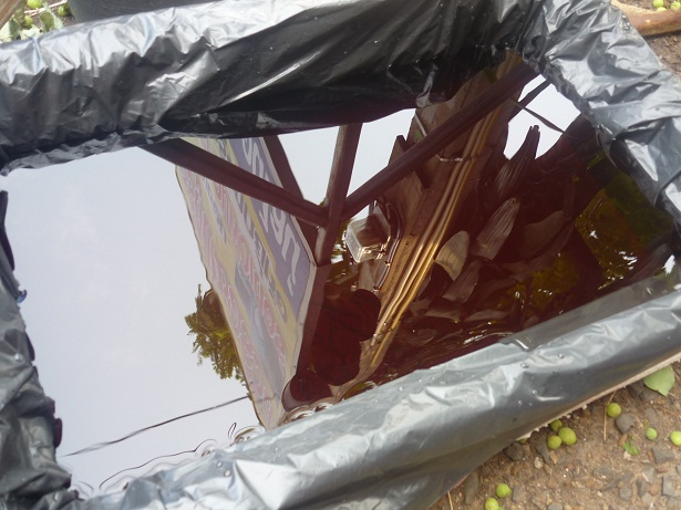 ง่ายจริงนะ! ปลูกผักไฮโดรโปนิกส์ปลอดสารพิษด้วยตัวเอง