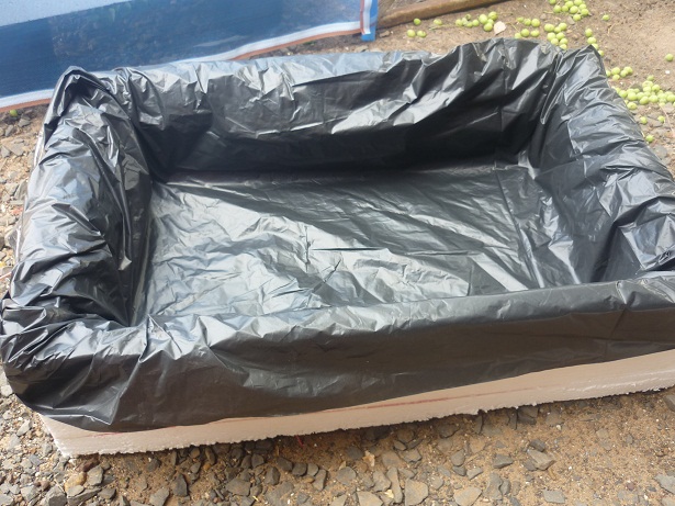 ง่ายจริงนะ! ปลูกผักไฮโดรโปนิกส์ปลอดสารพิษด้วยตัวเอง