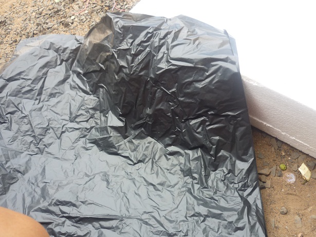 ง่ายจริงนะ! ปลูกผักไฮโดรโปนิกส์ปลอดสารพิษด้วยตัวเอง