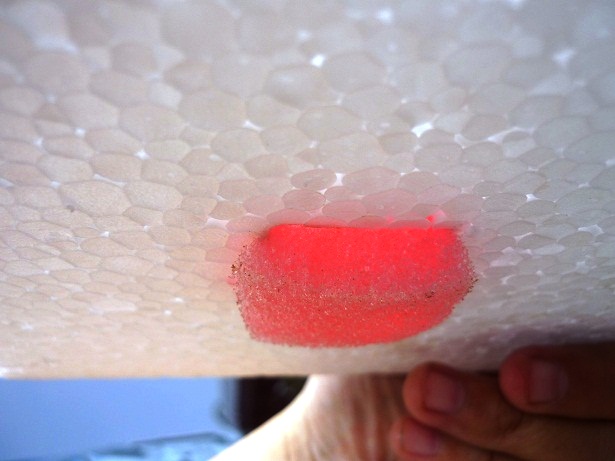 ง่ายจริงนะ! ปลูกผักไฮโดรโปนิกส์ปลอดสารพิษด้วยตัวเอง