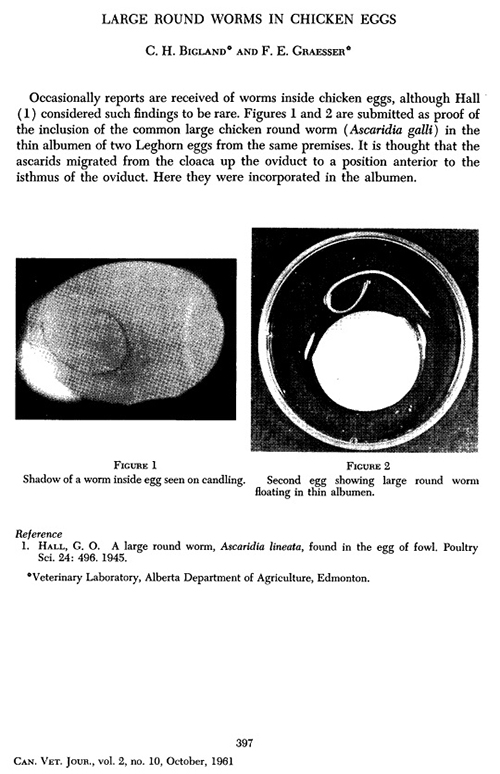 พยาธิอยู่ในไข่ พยาธิอยู่ในไข่