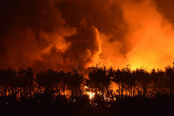 ข่าวระเบิดท่าเรือจีน เมืองเทียนจิน ข่าวระเบิดท่าเรือจีน เมืองเทียนจิน