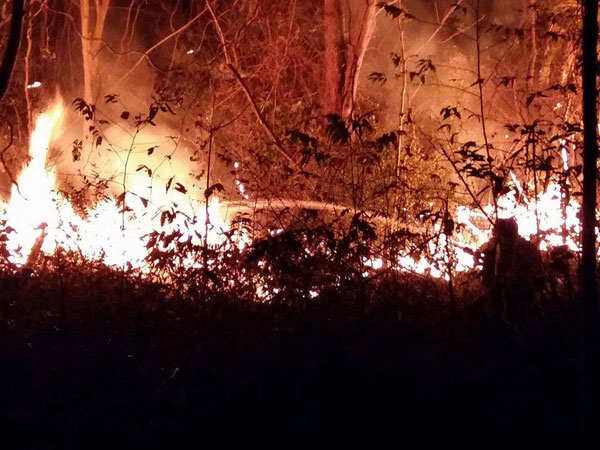 ไฟป่านครนายก ไฟป่านครนายก