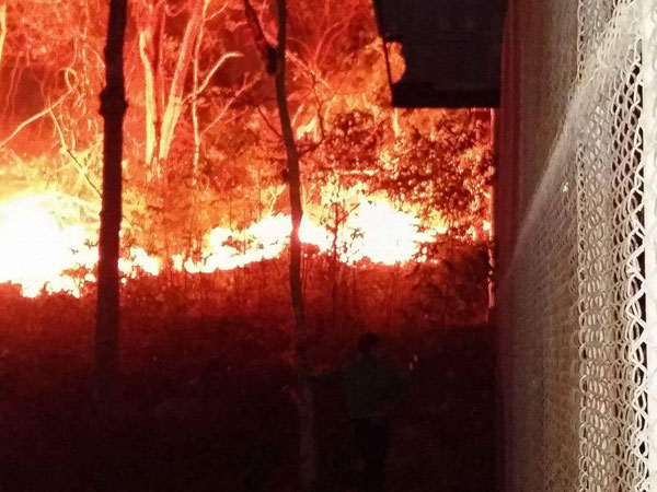 ไฟป่านครนายก ไฟป่านครนายก