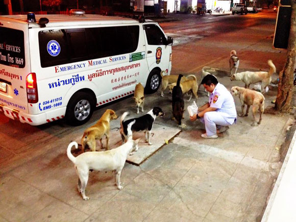 หนุ่มกู้ภัยซื้ออาหารใส่รถพยาบาล เลี้ยงตูบจรจัดนานกว่า 10 ปี หนุ่มกู้ภัยซื้ออาหารใส่รถพยาบาล เลี้ยงตูบจรจัดนานกว่า 10 ปี