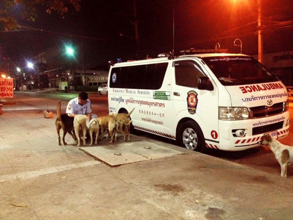 หนุ่มกู้ภัยซื้ออาหารใส่รถพยาบาล เลี้ยงตูบจรจัดนานกว่า 10 ปี หนุ่มกู้ภัยซื้ออาหารใส่รถพยาบาล เลี้ยงตูบจรจัดนานกว่า 10 ปี