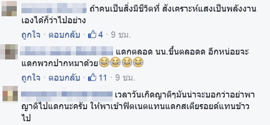 ดราม่าหนัก เพจรักสุขภาพโพสต์ อย่าให้รางวัลตัวเองด้วยอาหาร เพราะคุณไม่ใช่หมา ดราม่าหนัก เพจรักสุขภาพโพสต์ อย่าให้รางวัลตัวเองด้วยอาหาร เพราะคุณไม่ใช่หมา
