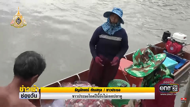 วิกฤต ปลาทูไทย วิกฤต ปลาทูไทย