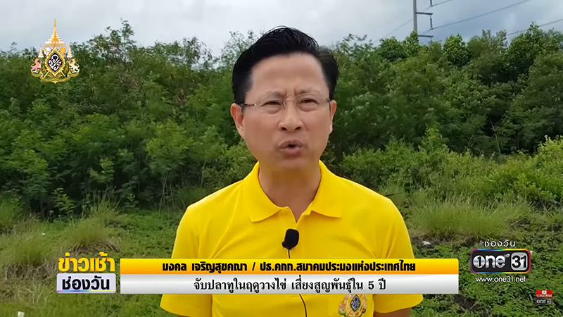 วิกฤต ปลาทูไทย วิกฤต ปลาทูไทย