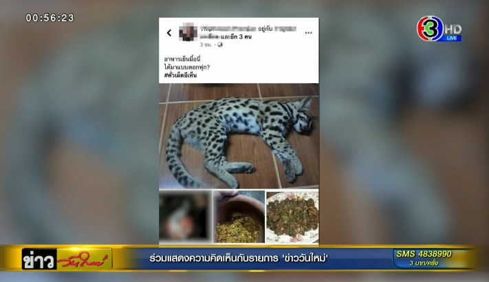 ไม่รอด ! ตำรวจบุกรวบสาว โพสต์โชว์เปิบพิสดารเมนูคั่วเผ็ดแมวดาว ไม่รอด ! ตำรวจบุกรวบสาว โพสต์โชว์เปิบพิสดารเมนูคั่วเผ็ดแมวดาว