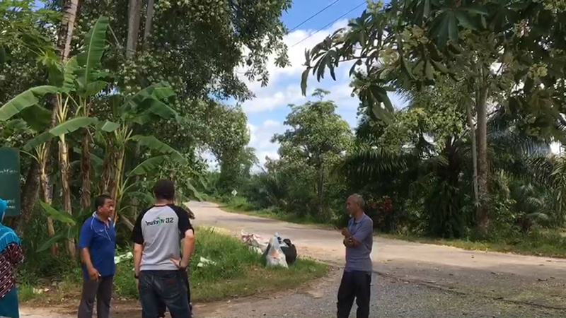 ชาวบ้านเหม็นกลิ่นต้นตีนเป็ด บานพร้อมกันสิบต้น ไม่ไหวจะทน ต้องย้ายไปอยู่ที่อื่น-ดมจนป่วย ! ชาวบ้านเหม็นกลิ่นต้นตีนเป็ด บานพร้อมกันสิบต้น ไม่ไหวจะทน ต้องย้ายไปอยู่ที่อื่น-ดมจนป่วย !