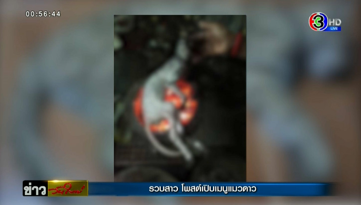 ไม่รอด ! ตำรวจบุกรวบสาว โพสต์โชว์เปิบพิสดารเมนูคั่วเผ็ดแมวดาว ไม่รอด ! ตำรวจบุกรวบสาว โพสต์โชว์เปิบพิสดารเมนูคั่วเผ็ดแมวดาว