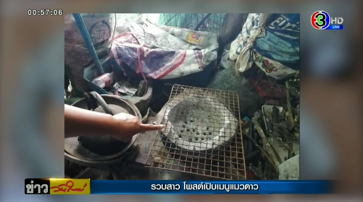 ไม่รอด ! ตำรวจบุกรวบสาว โพสต์โชว์เปิบพิสดารเมนูคั่วเผ็ดแมวดาว ไม่รอด ! ตำรวจบุกรวบสาว โพสต์โชว์เปิบพิสดารเมนูคั่วเผ็ดแมวดาว