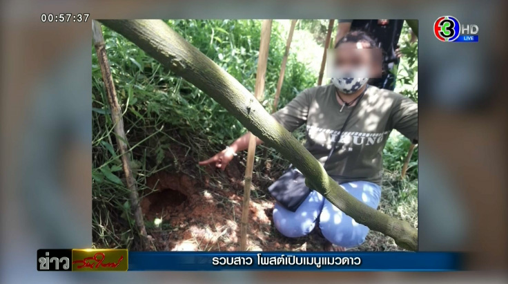 ไม่รอด ! ตำรวจบุกรวบสาว โพสต์โชว์เปิบพิสดารเมนูคั่วเผ็ดแมวดาว ไม่รอด ! ตำรวจบุกรวบสาว โพสต์โชว์เปิบพิสดารเมนูคั่วเผ็ดแมวดาว