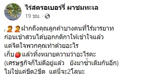 เก็บสตรอว์เบอร์รีแต่ไม่อยากจ่ายเงิน แอบซุกทิ้งตอไม้ เศรษฐกิจแบบนี้ยังทำกันลง ! เก็บสตรอว์เบอร์รีแต่ไม่อยากจ่ายเงิน แอบซุกทิ้งตอไม้ เศรษฐกิจแบบนี้ยังทำกันลง !