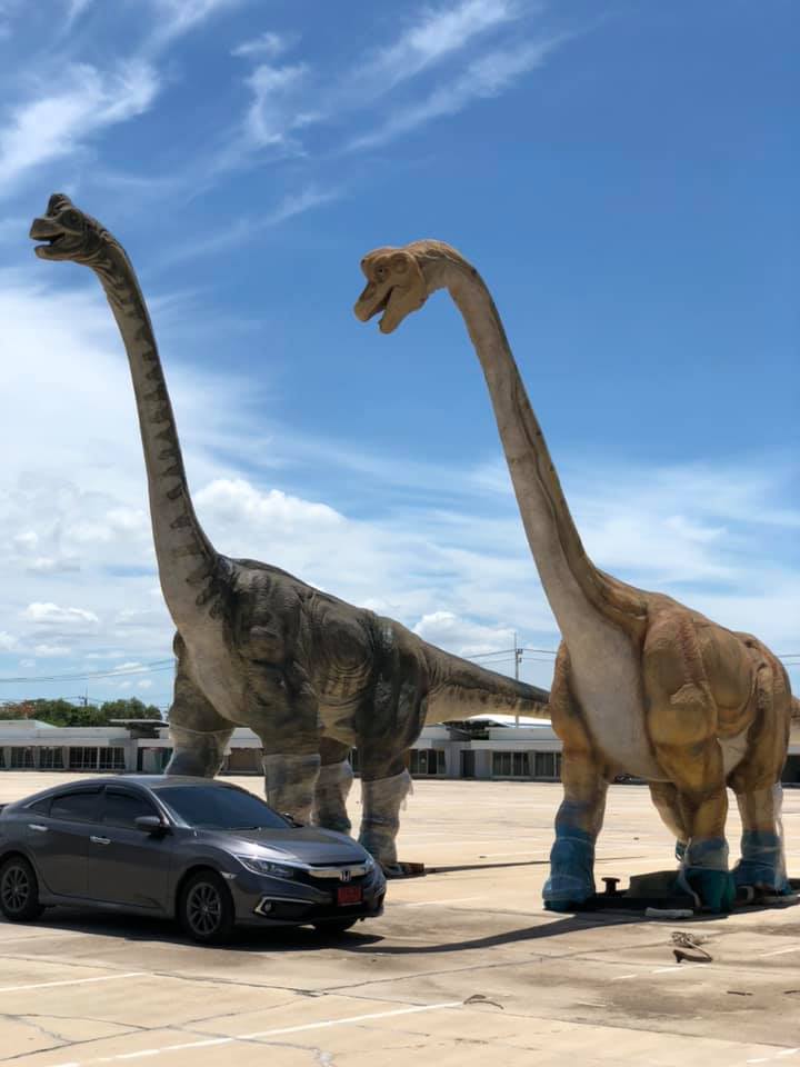 น้องไดโนเสาร์ 11 ตัวได้บ้านใหม่แล้ว ! เจ้าของปิดการขาย อวยพรให้น้องโชคดี น้องไดโนเสาร์ 11 ตัวได้บ้านใหม่แล้ว ! เจ้าของปิดการขาย อวยพรให้น้องโชคดี