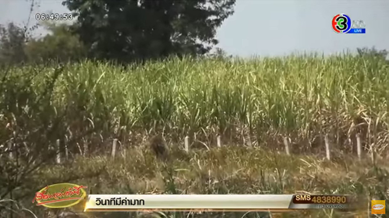 เปิดพิรุธ ผอ.ตุ๊ ทิ้งร่องรอยสำคัญ จากผอ.ใจเย็น กลายเป็นผู้ต้องสงสัย ฆ่าอำพรางศพน้องหลิว เปิดพิรุธ ผอ.ตุ๊ ทิ้งร่องรอยสำคัญ จากผอ.ใจเย็น กลายเป็นผู้ต้องสงสัย ฆ่าอำพรางศพน้องหลิว