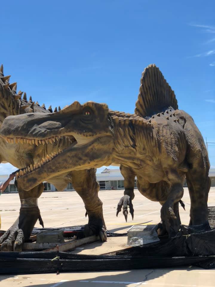 น้องไดโนเสาร์ 11 ตัวได้บ้านใหม่แล้ว ! เจ้าของปิดการขาย อวยพรให้น้องโชคดี น้องไดโนเสาร์ 11 ตัวได้บ้านใหม่แล้ว ! เจ้าของปิดการขาย อวยพรให้น้องโชคดี