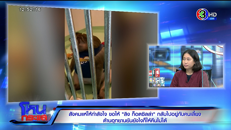 ไม่จบง่าย.. ก็อตซิลล่า ยังกลับบ้านไม่ได้ ! เจ้าของลั่น หมอไม่รู้ใจลิง - ใครจะเปลี่ยนเสื้อผ้าให้ ไม่จบง่าย.. ก็อตซิลล่า ยังกลับบ้านไม่ได้ ! เจ้าของลั่น หมอไม่รู้ใจลิง - ใครจะเปลี่ยนเสื้อผ้าให้