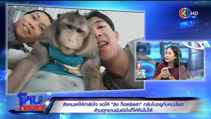 ไม่จบง่าย.. ก็อตซิลล่า ยังกลับบ้านไม่ได้ ! เจ้าของลั่น หมอไม่รู้ใจลิง - ใครจะเปลี่ยนเสื้อผ้าให้ ไม่จบง่าย.. ก็อตซิลล่า ยังกลับบ้านไม่ได้ ! เจ้าของลั่น หมอไม่รู้ใจลิง - ใครจะเปลี่ยนเสื้อผ้าให้