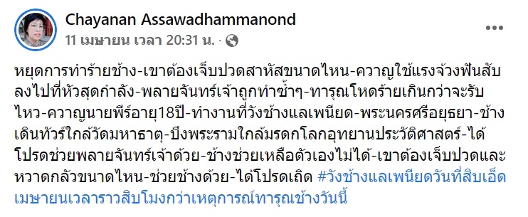 พลายจันทร์เจ้า ถูกควาญช้างใช้ตะขอตี ง้างสุดแขนสับกลางหัว ดราม่าจนปางช้างต้องพูด พลายจันทร์เจ้า ถูกควาญช้างใช้ตะขอตี ง้างสุดแขนสับกลางหัว ดราม่าจนปางช้างต้องพูด