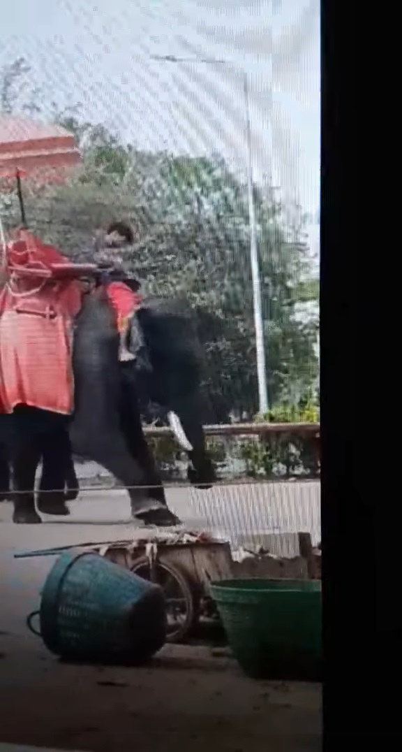 พลายจันทร์เจ้า ถูกควาญช้างใช้ตะขอตี ง้างสุดแขนสับกลางหัว ดราม่าจนปางช้างต้องพูด พลายจันทร์เจ้า ถูกควาญช้างใช้ตะขอตี ง้างสุดแขนสับกลางหัว ดราม่าจนปางช้างต้องพูด