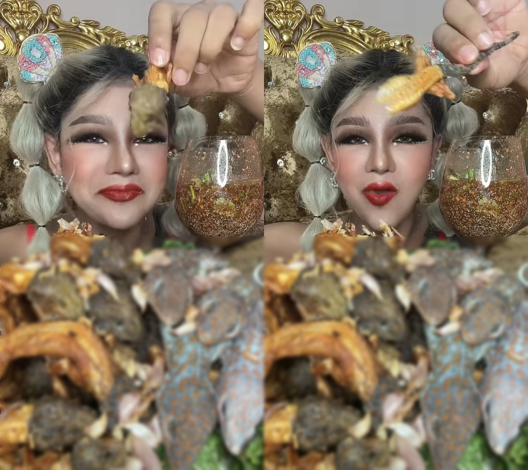 ขนเพชร โชว์กินตุ๊กแกทอด เสียงกรอบลั่นไลฟ์ หน้าอร่อยฟิน เจอจับผิดไม่ยอมกลืน-คายทิ้ง !? ขนเพชร โชว์กินตุ๊กแกทอด เสียงกรอบลั่นไลฟ์ หน้าอร่อยฟิน เจอจับผิดไม่ยอมกลืน-คายทิ้ง !?