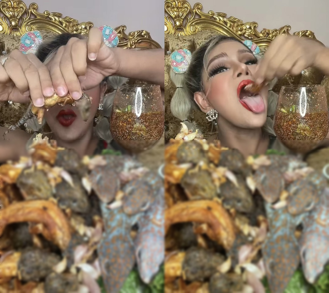 ขนเพชร โชว์กินตุ๊กแกทอด เสียงกรอบลั่นไลฟ์ หน้าอร่อยฟิน เจอจับผิดไม่ยอมกลืน-คายทิ้ง !? ขนเพชร โชว์กินตุ๊กแกทอด เสียงกรอบลั่นไลฟ์ หน้าอร่อยฟิน เจอจับผิดไม่ยอมกลืน-คายทิ้ง !?