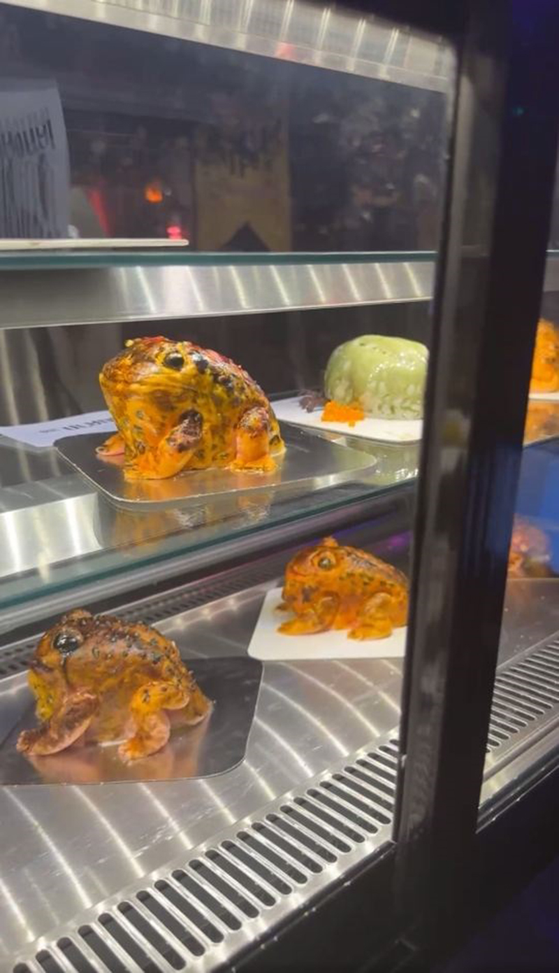 ตกใจจะบ้า เห็บหมาไซซ์เท่าชิวาว่า ขนลุกซู่ พอซูมดูรู้ว่าคืออะไร ปรบมือให้คนทำ ! ตกใจจะบ้า เห็บหมาไซซ์เท่าชิวาว่า ขนลุกซู่ พอซูมดูรู้ว่าคืออะไร ปรบมือให้คนทำ !