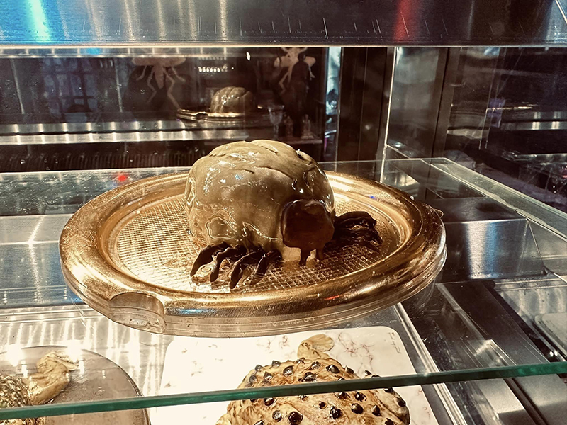 ตกใจจะบ้า เห็บหมาไซซ์เท่าชิวาว่า ขนลุกซู่ พอซูมดูรู้ว่าคืออะไร ปรบมือให้คนทำ ! ตกใจจะบ้า เห็บหมาไซซ์เท่าชิวาว่า ขนลุกซู่ พอซูมดูรู้ว่าคืออะไร ปรบมือให้คนทำ !