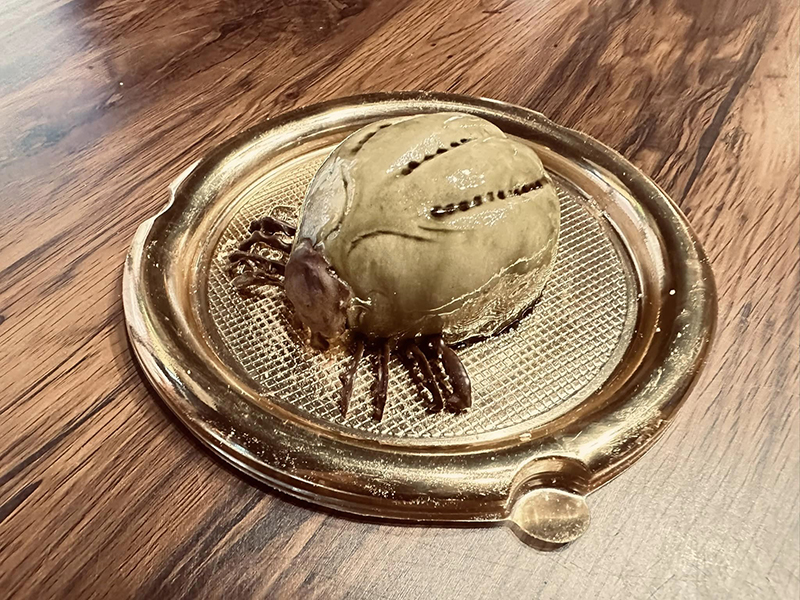 ตกใจจะบ้า เห็บหมาไซซ์เท่าชิวาว่า ขนลุกซู่ พอซูมดูรู้ว่าคืออะไร ปรบมือให้คนทำ ! ตกใจจะบ้า เห็บหมาไซซ์เท่าชิวาว่า ขนลุกซู่ พอซูมดูรู้ว่าคืออะไร ปรบมือให้คนทำ !